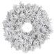 Вінок &oslash; 45 см декоративний Dinsmore Frosted зелений зі снігом 8718861289022 фото 1