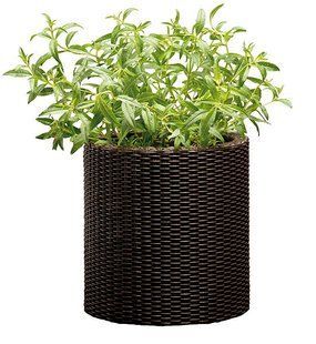 Горщик для квітів Keter 7 л. Cylinder Planter Small, коричневий 7290103664183 фото