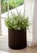 Горщик для квітів Keter 7 л. Cylinder Planter Small, коричневий 7290103664183 фото 3
