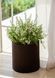 Горщик для квітів Keter 7 л. Cylinder Planter Small, коричневий 7290103664183 фото 2