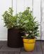 Горщик для квітів Keter 7 л. Cylinder Planter Small, коричневий 7290103664183 фото 4