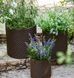 Горщик для квітів Keter 7 л. Cylinder Planter Small, коричневий 7290103664183 фото 7