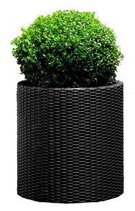 Горщик для квітів Keter 39 л. Cylinder Planter Large, сірий 7290103669430 фото