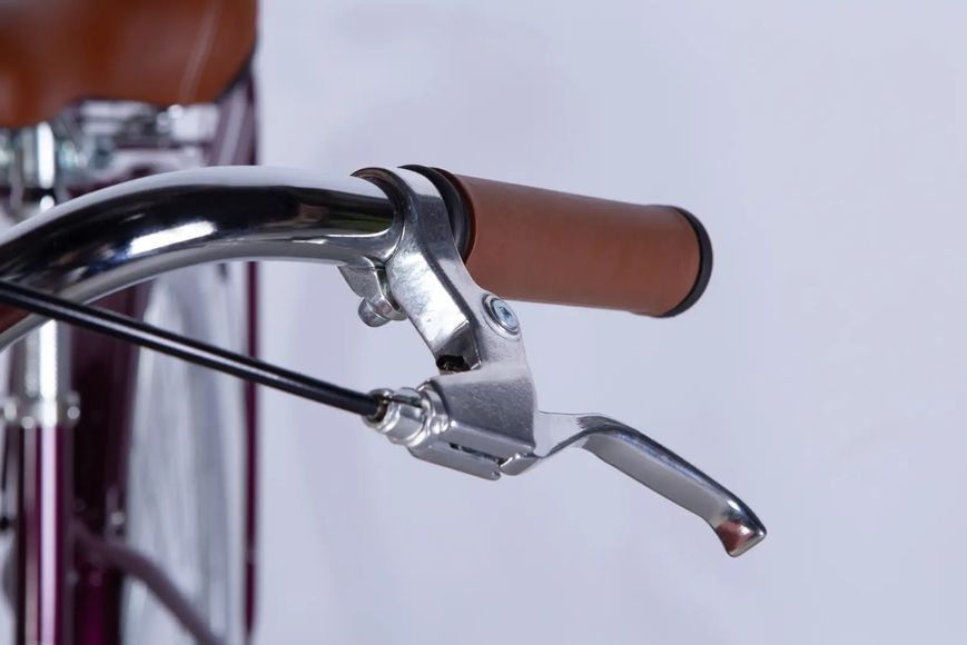 Велосипед ST 28 Dorozhnik RETRO Velosteel рама-19 малиновий 2026 OPS-D-28-547 фото