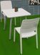 Стілець садовий пластиковий Keter Charlotte Deco Chair, білий 3076540146581 фото 3