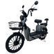 Велосипед з електромотором SPARK RIDER 14 48V/500W/20Ah Сірий 000227050 фото 1