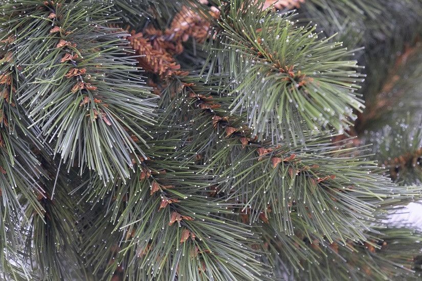 Гірлянда 2,7 м. Forest frosted зелена 8717669552017 фото