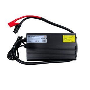 Зарядний пристрій для акумуляторів LiFePO4 12V (14,6V)-60A LP38999 фото