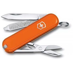 Складаний ніж Victorinox CLASSIC SD Colors 0.6223.83 G 0.6223.83G фото