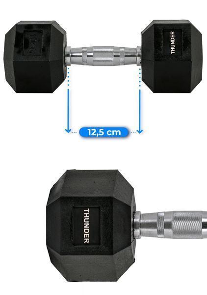 Гантель шестигранна THUNDER 10 кг HEXAGONAL-DUMBBELLS-10KG фото