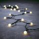 Гірлянда Змійка-кульки, Luca Lighting, 3,9 м, 48 LED теплий білий 8718861852165 фото 1