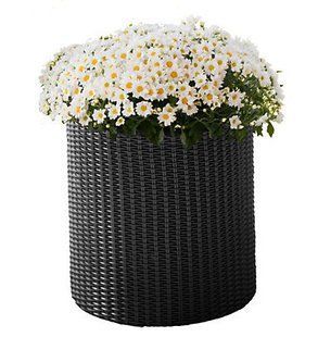 Горщик для квітів Keter Cylinder Planter Small, 7 л, сірий 7290103668204 фото