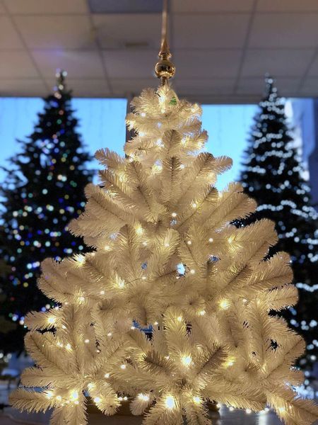 Гірлянда-струна Luca Lighting 2 м, 20led, класичний білий, 2АА 8718861660685 фото