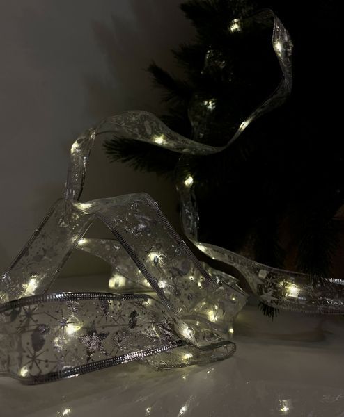 Гірлянда-стрічка срібляста Chomik, 5,2 м, 50 LED теплий білий 5900779880276_1 фото