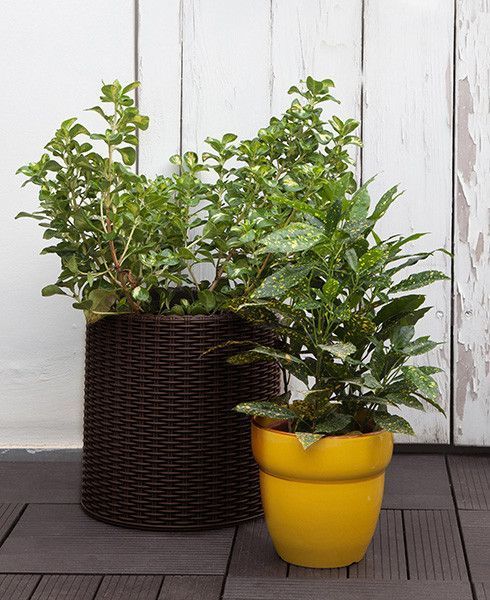 Горщик для квітів Keter 18 л. Cylinder Planter Medium, коричневий 7290103664190 фото