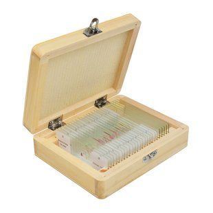 Набір мікропрепаратів SIGETA ADVANCE Анатомія (20 шт.) - Безкоштовна доставка 65154 фото