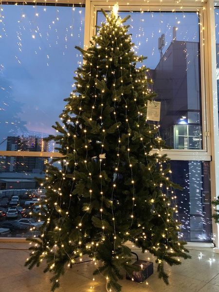 Ялина 230 см, Nottingham de Luxe 8711473288032 фото