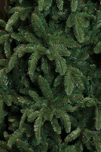 Ялина 2,30 м Abies Nordmann de Luxe зелена 8711473890211 фото