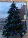 Ялина 2,30 м Abies Nordmann de Luxe зелена 8711473890211 фото 2