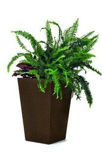 Горщик для рослин Keter Rattan Planter S (small) 23,6 л 7290103659257 фото