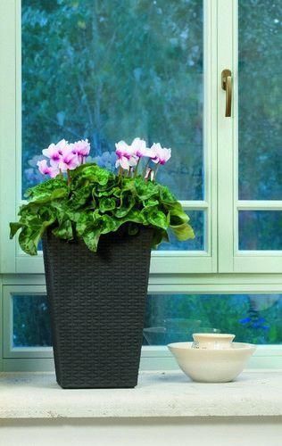 Горщик для рослин Keter Rattan Planter S (small) 23,6 л 7290103659257 фото