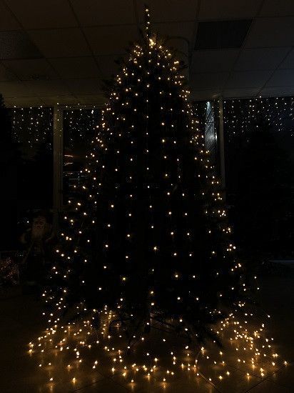 Сосна 215 см з інієм, Forest 0756770520346 фото