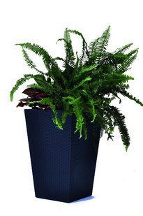 Горщик для рослин Keter Medium Rattan Planter сірий 7290103659288 фото