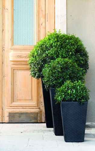 Горщик для рослин Keter Medium Rattan Planter сірий 7290103659288 фото