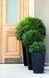 Горщик для рослин Keter Medium Rattan Planter сірий 7290103659288 фото 3