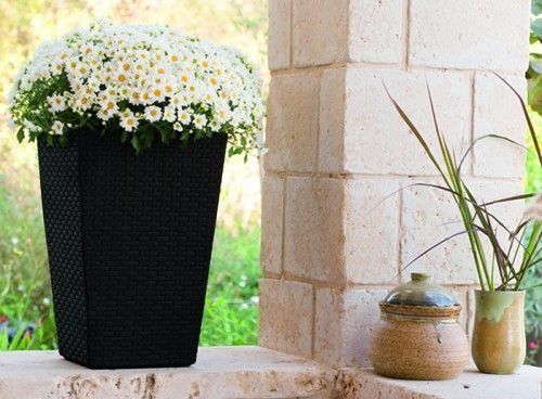 Горщик для рослин Keter Medium Rattan Planter сірий 7290103659288 фото