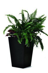 Горщик для рослин Keter Rattan Planter M (medium) 55,4 л 7290103659271 фото