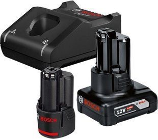 Енергокомплект Bosch GBA 12V + GAL 12V-40 (1600A01NC9) 1600A01NC9 фото