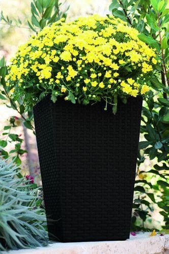 Горщик для рослин Keter Rattan Planter M (medium) 55,4 л 7290103659271 фото