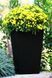 Горщик для рослин Keter Rattan Planter M (medium) 55,4 л 7290103659271 фото 2