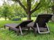 Шезлонг пластиковий Keter Jaipur Sun lounger, віскі коричневий 8711245144894 фото 3