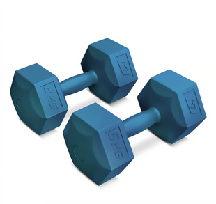 Гантелі для фітнесу композитні Hop-Sport HS-C080DS 2х8кг блакитний 5902308231528 фото