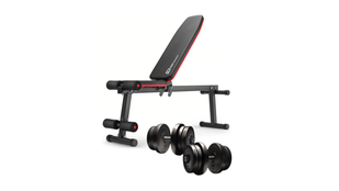 Набір Elitum Titan гантелі 2х21кг з лавою HS-1010 Pro 00-G00000320 фото