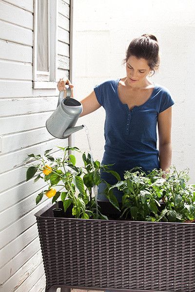 Грядка для рослин Keter Easy Grow, коричнева 7290005559822 фото
