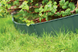 Бордюр садовий Prosperplast GARDEN FENCE, темно-зелений, 5,9 м 5905197640082 фото 3
