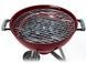 Гриль-барбекю TE-2014-6 7393791425477 фото 2