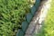 Бордюр садовий Prosperplast GARDEN LINE, темно-зелений, 10 м 5905197640402 фото 2