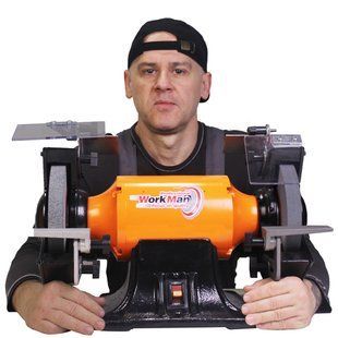 Точильний верстат 200мм з системою пиловидалення WorkMan CH200 42540(Безкоштовна доставка) 42540 фото