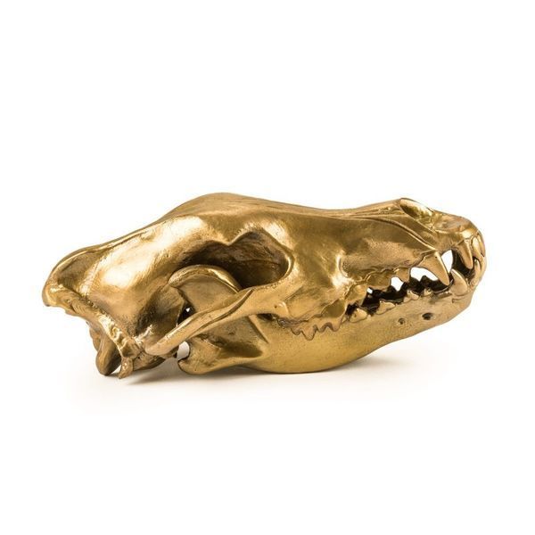 Фігура вовчий череп Diesel-wolf skull&rsquo; 14 x 28 х 12 см 10892 фото