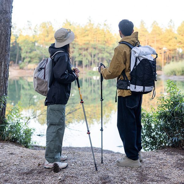 Трекінгові палиці 2шт Naturehike Men ST 01 6061 AL NH17D001-Z, 3-сек.,алюміній,сині 6975641885603_2 фото