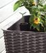 Грядка для рослин Keter Easy Grow, сіра 7290103660833 фото 9