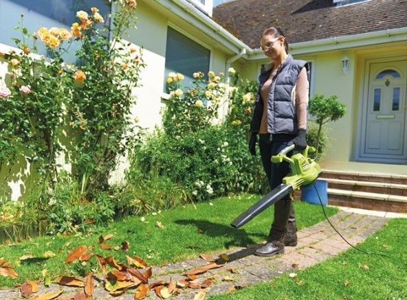 Воздуходувка-пилесос садова RYOBI RBV3000CSV, 3000Вт (14 м&sup3;/хв) 5133002188 фото